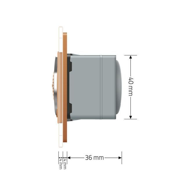 Bluetooth колонка Livolo золото скло (VL-C7-FCF-2AP) VL-C7-FCF-2AP фото