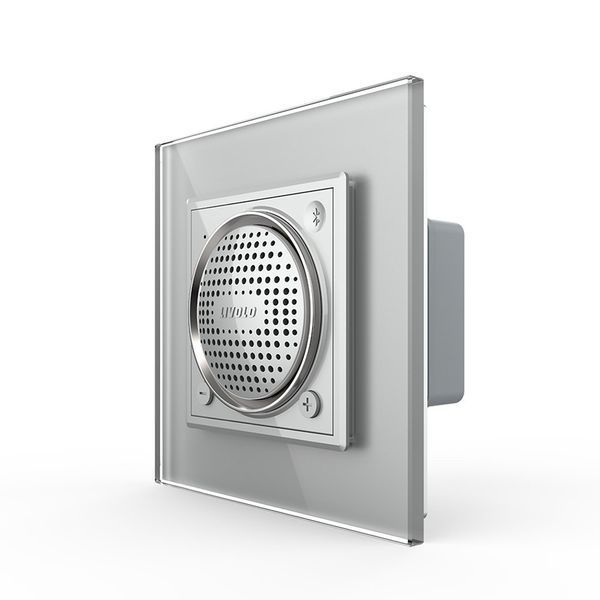 Bluetooth колонка Livolo сірий скло (VL-C7-FCF-2IP) VL-C7-FCF-2IP фото