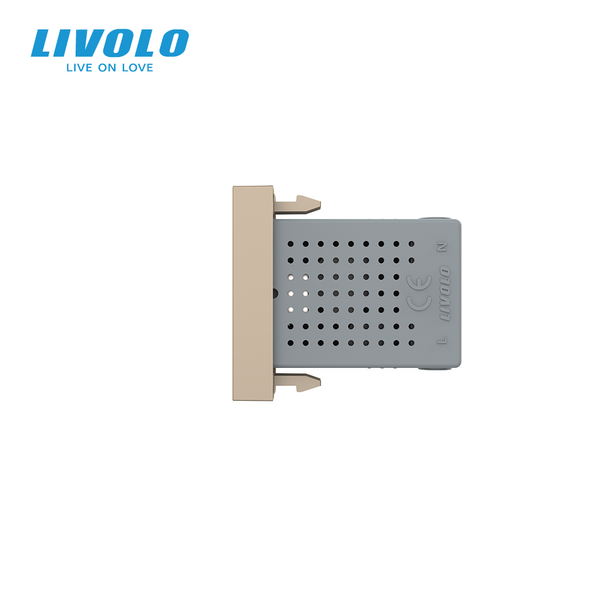USB розетка LIVOLO 5V 2.1A, золота, 10Вт, з блоком живлення, модуль 0.5 поста (VL-FCUA-1AP) 727600213 фото