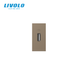 USB розетка LIVOLO 5V 2.1A, золота, 10Вт, з блоком живлення, модуль 0.5 поста (VL-FCUA-1AP) 727600213 фото 3