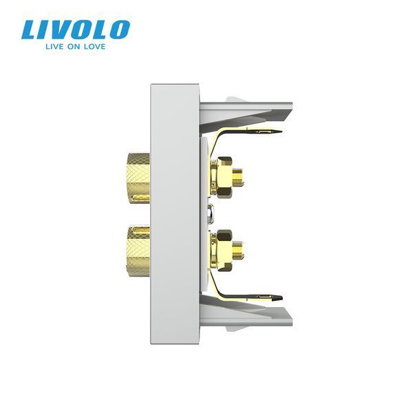 Аудіо розетка LIVOLO Banana Plug, сіра, для колонок / підсилювача, модуль 0.5 поста(VL-FCSD-1IP) 727500115 фото