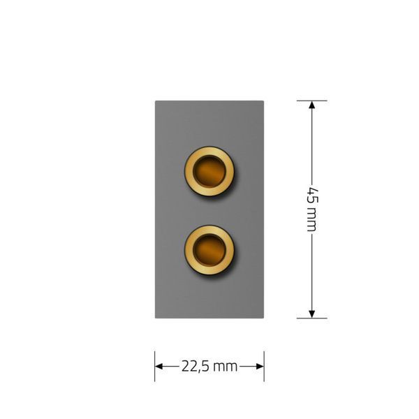 Аудіо розетка LIVOLO Banana Plug, сіра, для колонок / підсилювача, модуль 0.5 поста(VL-FCSD-1IP) 727500115 фото
