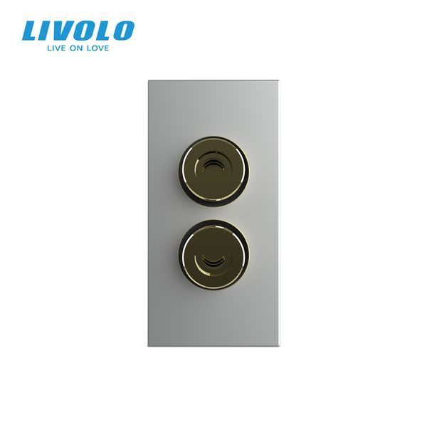 Аудіо розетка LIVOLO Banana Plug, сіра, для колонок / підсилювача, модуль 0.5 поста(VL-FCSD-1IP) 727500115 фото
