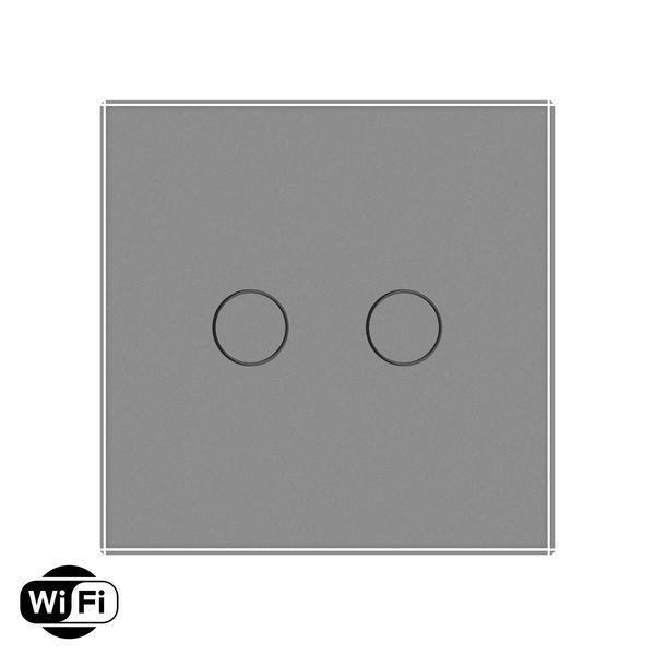 Розумний сенсорний Wi-Fi вимикач 2 сенсора Livolo сірий скло (VL-C7FC2NY-2GIP) VL-C7FC2NY-2GIP фото