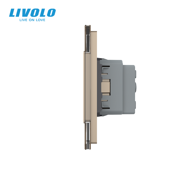 Сенсорний вимикач 1 сенсор 2 розетки Livolo золото скло (VL-C701/C7C2EU-13) VL-C701/C7C2EU-13 фото