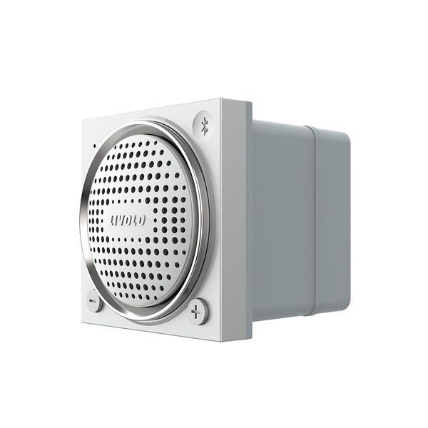 Механізм Bluetooth колонка Livolo сірий (VL-FCF-2IP) VL-FCF-2IP фото
