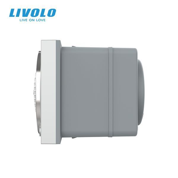 Механізм Bluetooth колонка Livolo сірий (VL-FCF-2IP) VL-FCF-2IP фото