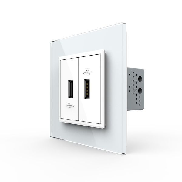 Розетка подвійна USB з блоком живлення Livolo білий скло (VL-C792U-11) VL-C792U-11 фото